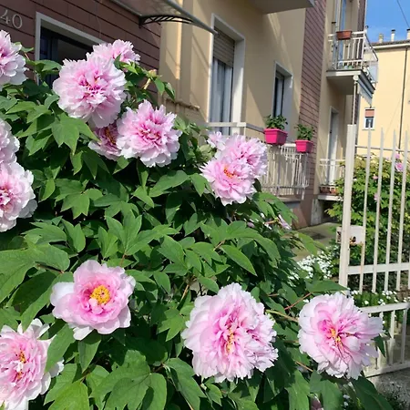 B&B Calvino-3